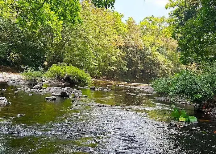 Private Jungle