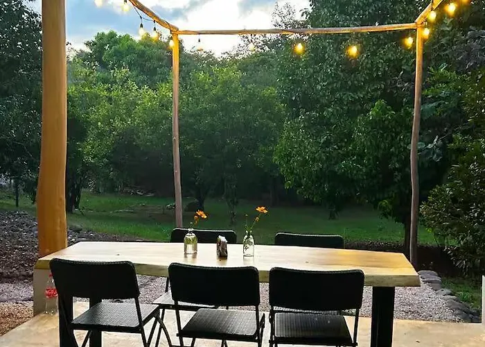 Private Jungle