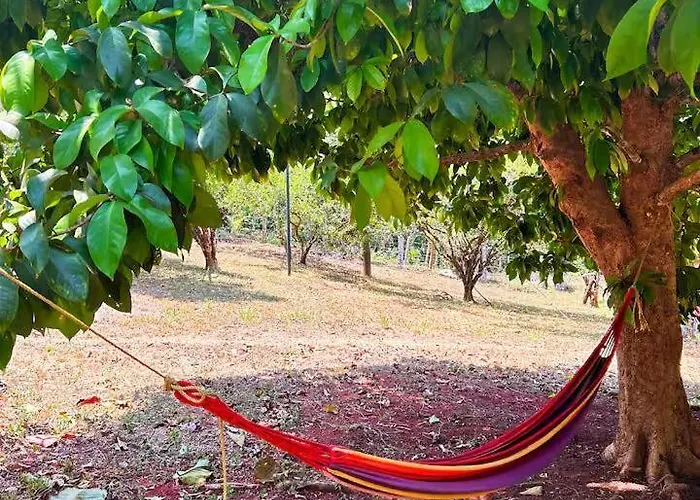 Hébergement de vacances Private Jungle Nandayure